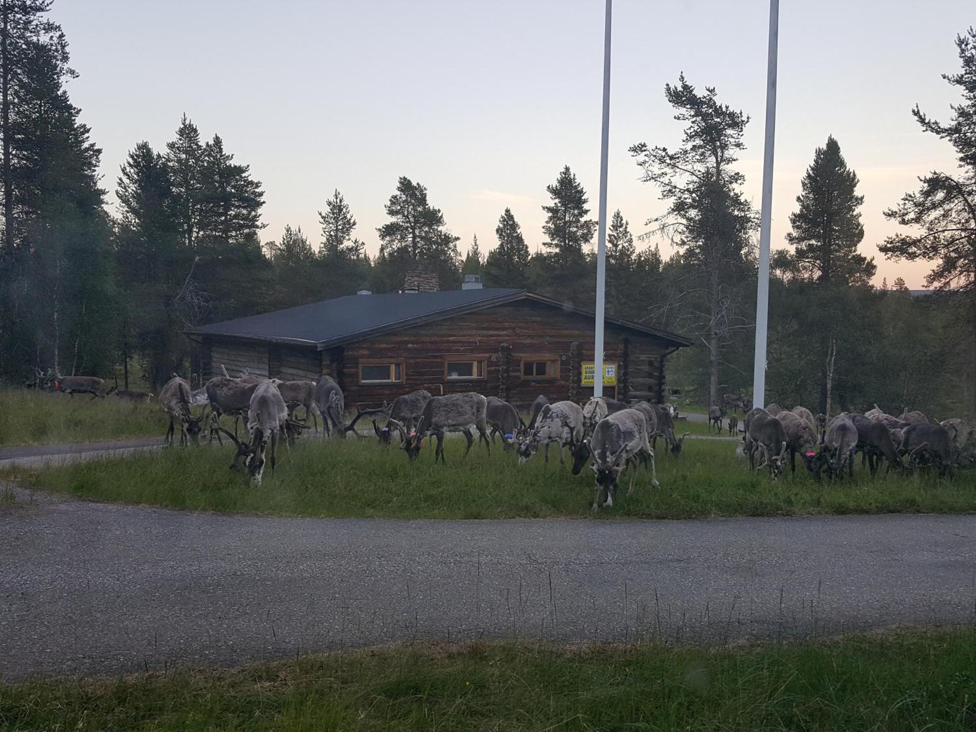 ساريسيلكا Kuukkeli Log Houses Aurora Resort المظهر الخارجي الصورة